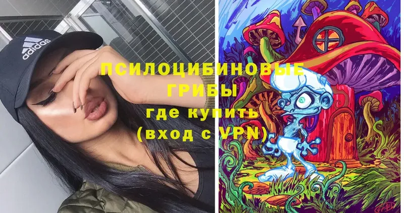 Псилоцибиновые грибы мицелий  Нижняя Салда 